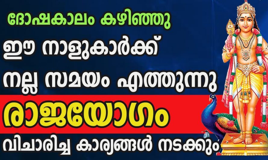 ദോഷക്കാലം മാറി ഈ നക്ഷത്രക്കാർ കുതിച്ചു ഉയരുന്ന  സമയം..