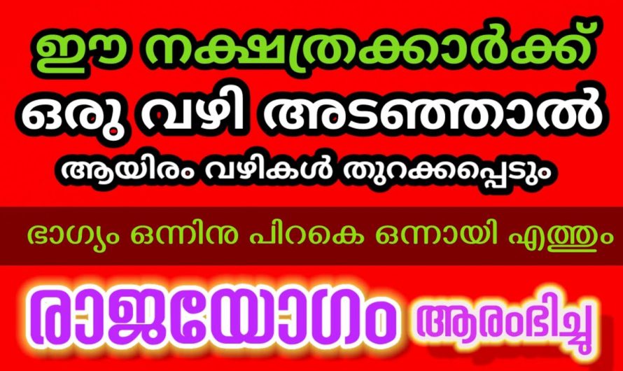 ഒരു വഴിയടഞ്ഞാൽ ആയിരം വഴി തുറന്നു കിട്ടുന്ന നക്ഷത്ര ജാതകം..