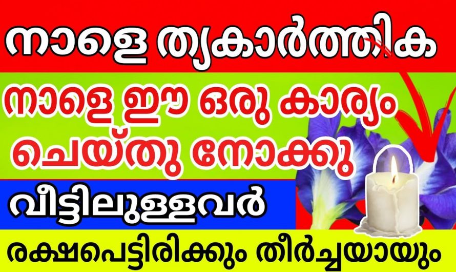 വീടും വീട്ടിലുള്ളവരും രക്ഷപ്പെടാൻ ഈ ഒരു കാര്യം തൃക്കാർത്തിക നാളിൽ  ചെയ്യുക..