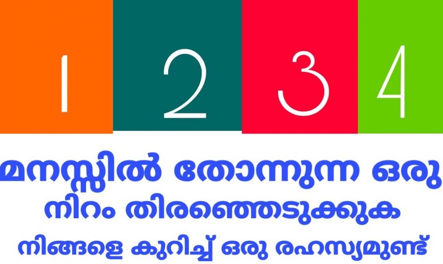 നിങ്ങളെ ഇഷ്ടപ്പെടുന്ന കളർ പറയും നിങ്ങളുടെ സ്വഭാവ സവിശേഷതകൾ..