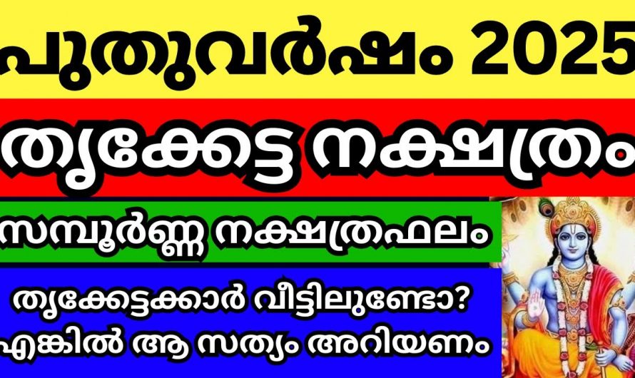 2025ലെ തൃക്കേട്ട നക്ഷത്രക്കാരുടെ സമ്പൂർണ്ണ ഫലം…