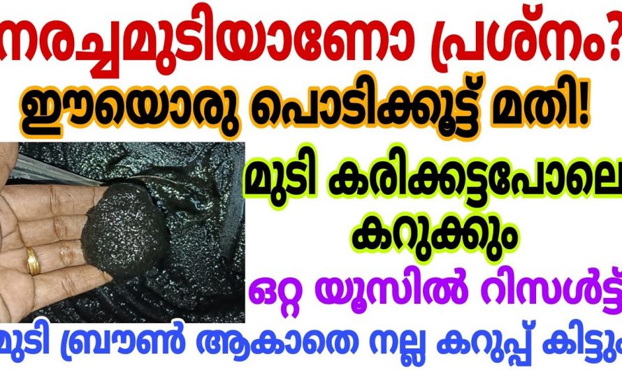 ഈയൊരു ഹെയർ ഡൈ ഉപയോഗിച്ചാൽ ഒരു മുടി പോലും നരച്ചത് ഇനി തലയിൽ കാണില്ല..