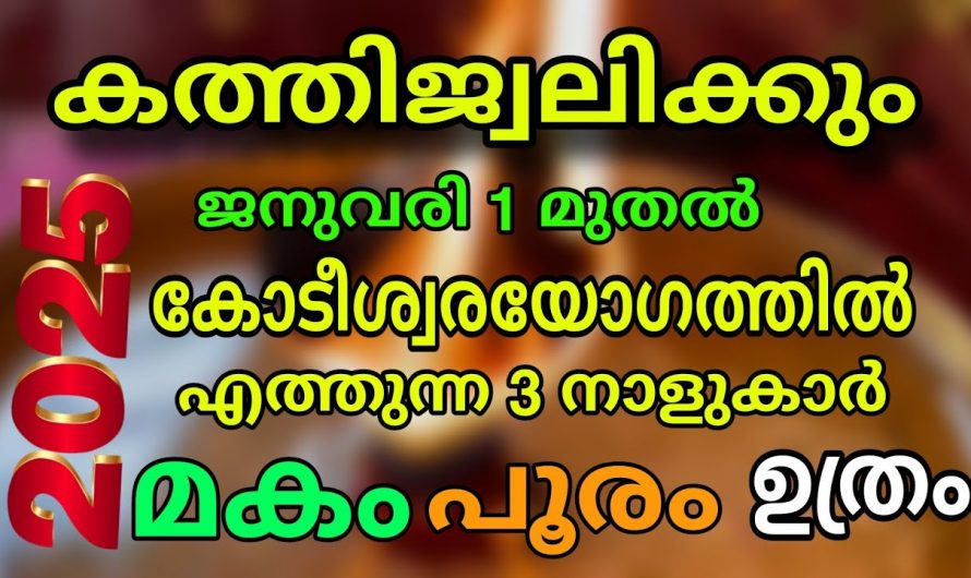 2025ൽ നേട്ടങ്ങൾ കൈവരിക്കുന്ന നക്ഷത്രക്കാർ..